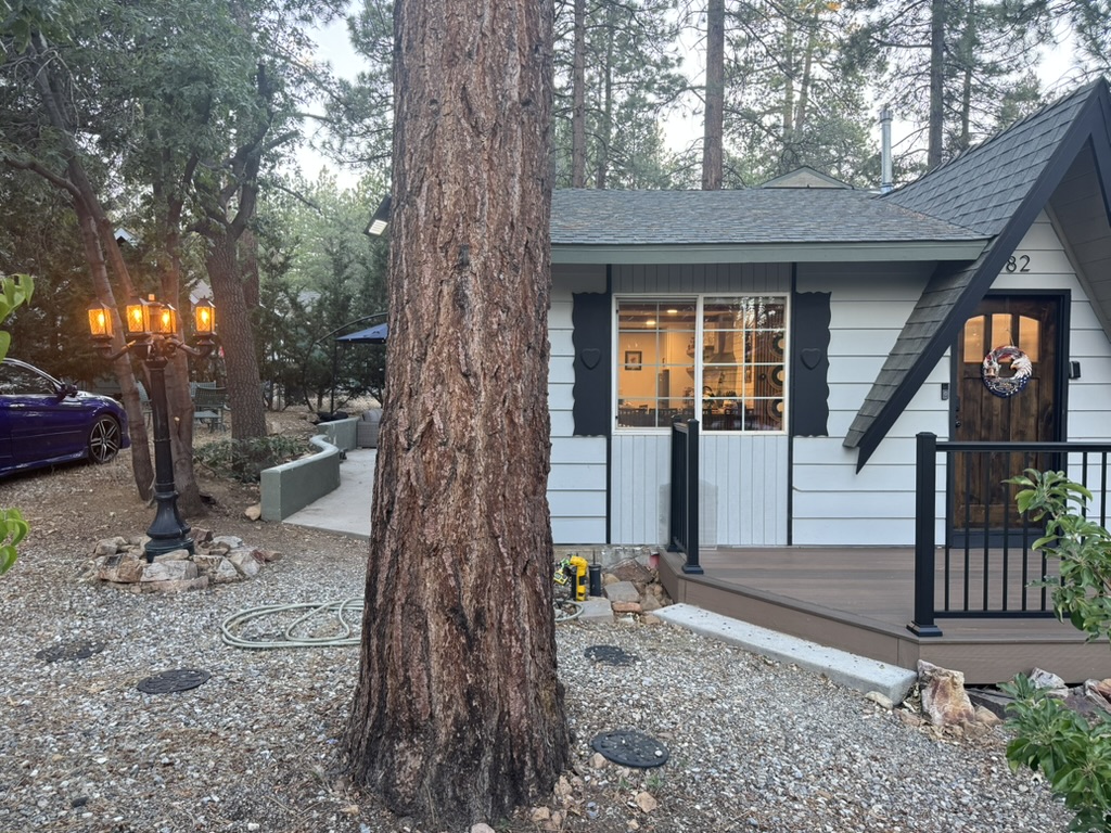 Terrapin Cottage at dusk, a white cabin with lit windows beneath tall Jeffrey pines in Big Bear, California